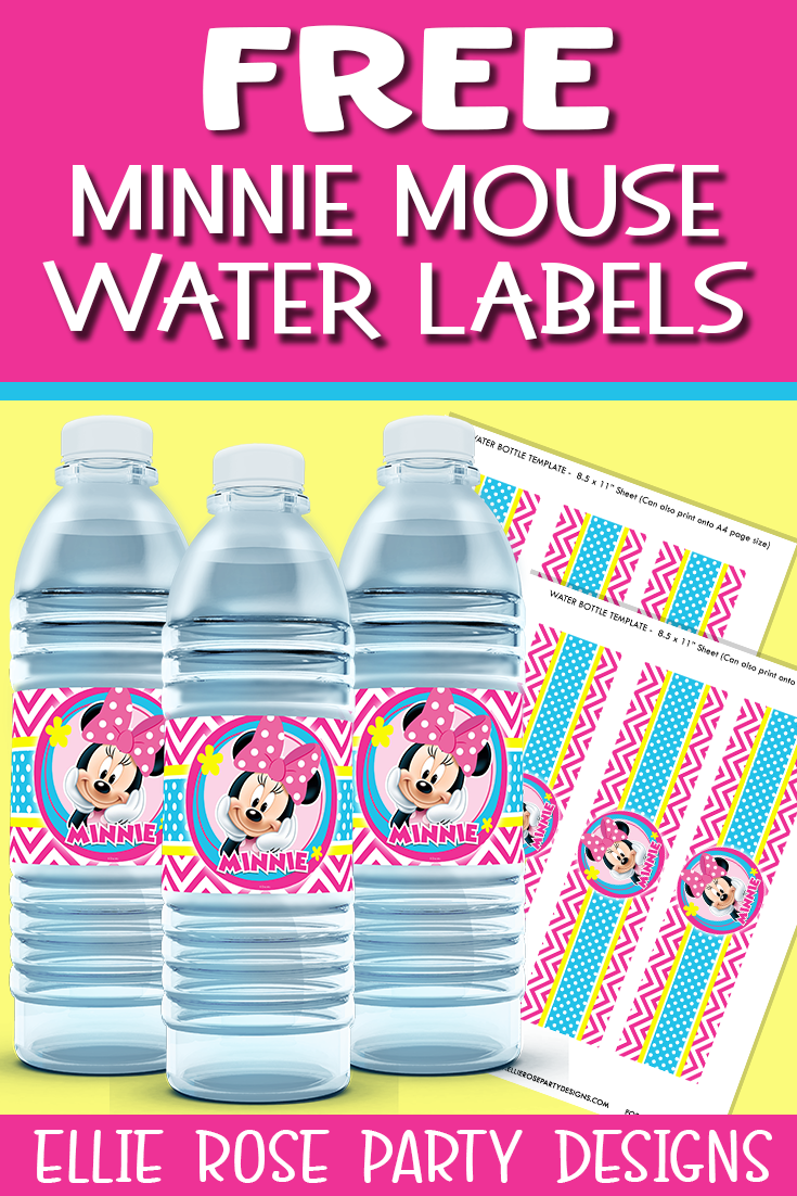 Bluey Pink Party Water Bottle Labels Printable