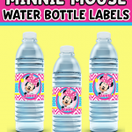 FREE MINNIE MOUSE WATER BOTTLE LABELS PRINTABLE