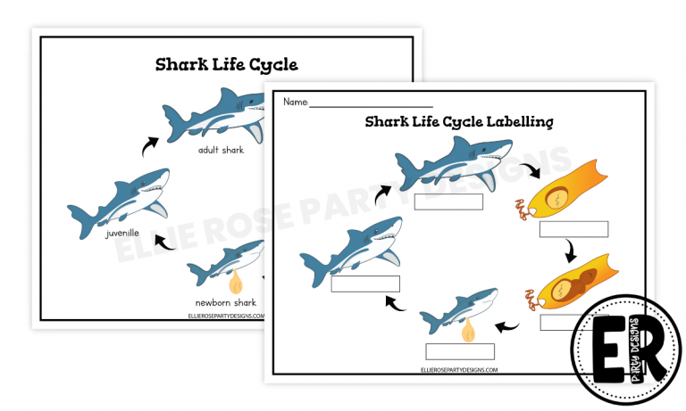 Free Printable Shark Worksheets | Ellierosepartydesigns.com