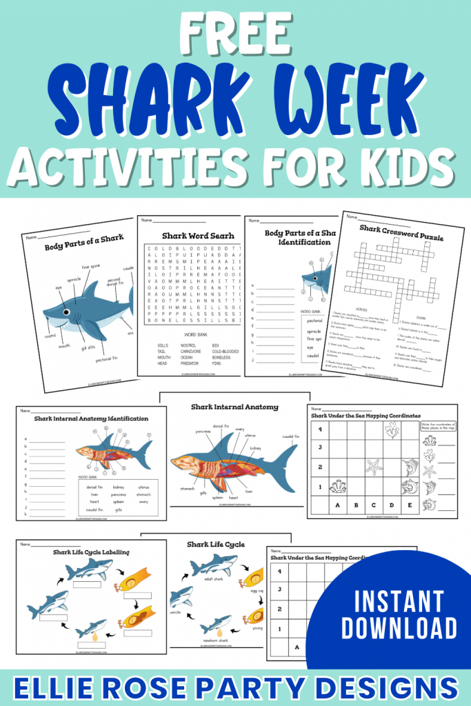 Free Space Station Dramatic Play Printables | Ellierosepartydesigns.com