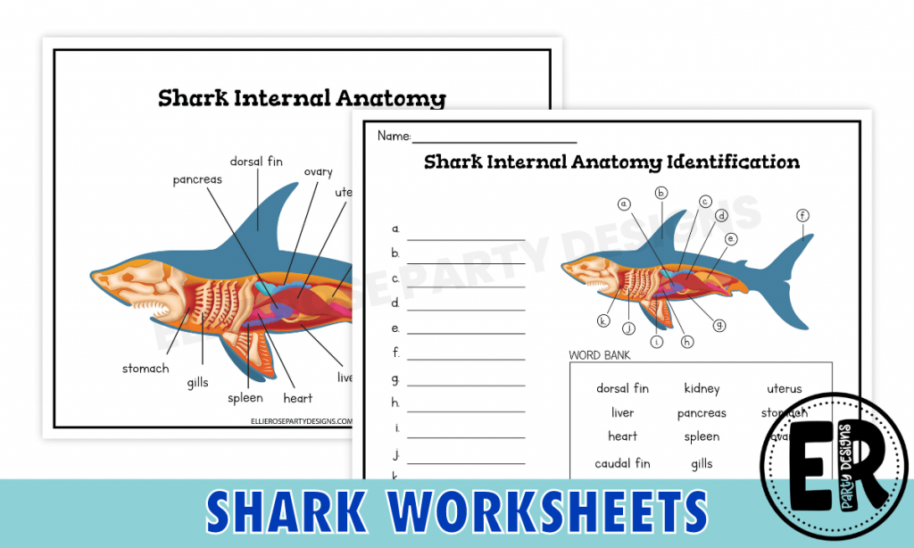 Free Printable Shark Worksheets | Ellierosepartydesigns.com