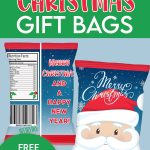 CHRISTMAS GIFT BAG